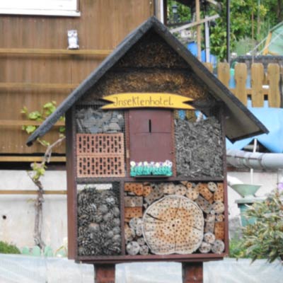 Das Bild zeigt ein Insektenhotel im KGV Bromberg
