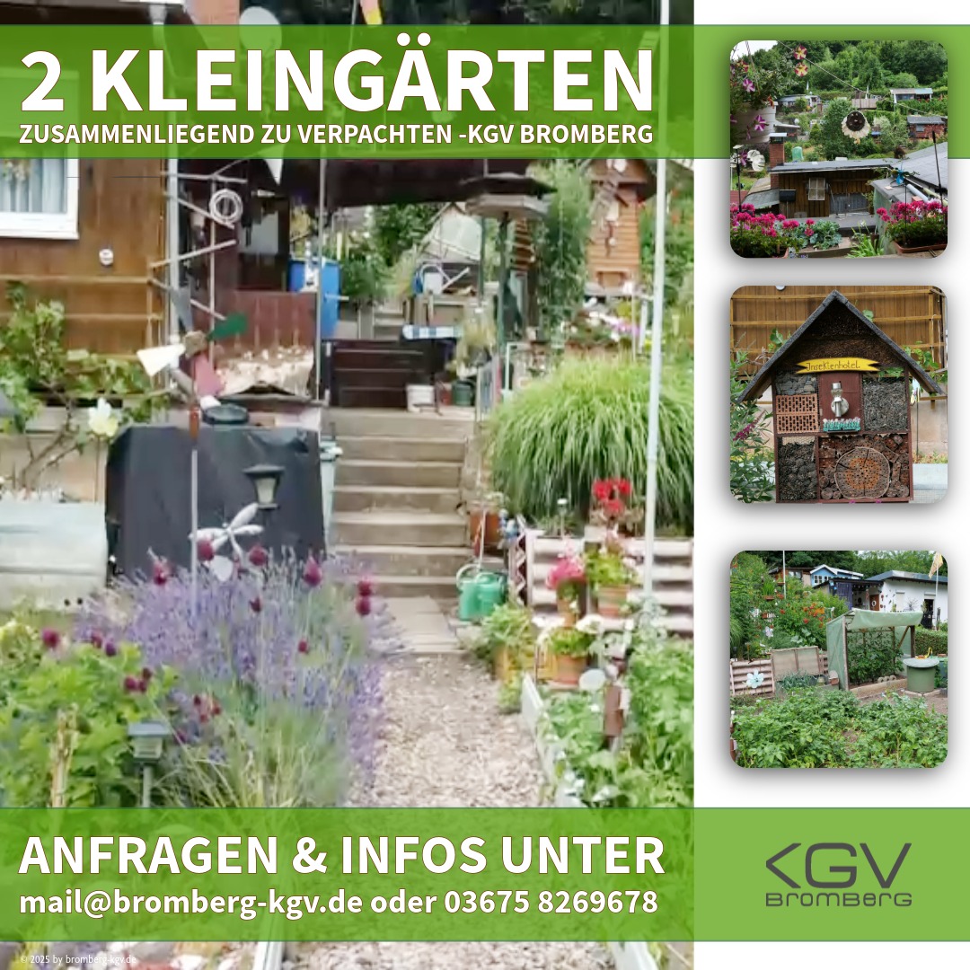 bromberg kgv de kleingarten zu verpachten